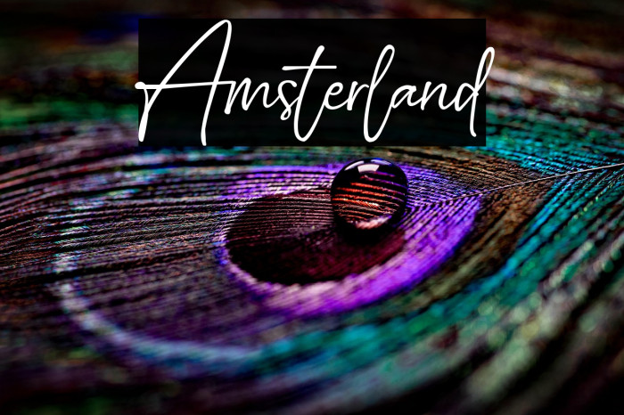 Amsterland Example 2