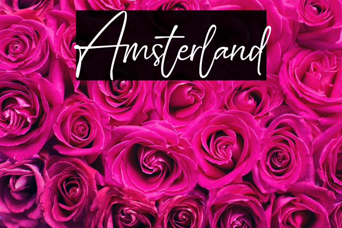 Amsterland Example 3