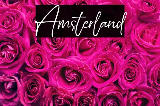 Amsterland Example 3