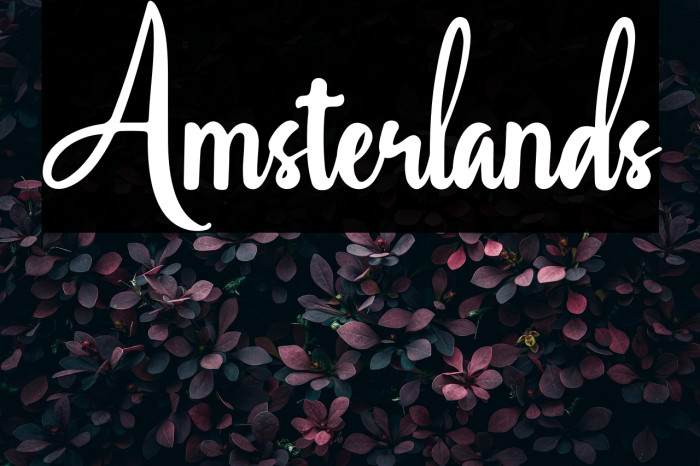 Amsterlands Example 1