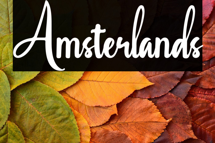 Amsterlands Example 2