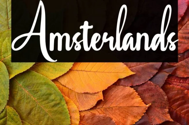Amsterlands Example 2