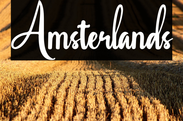 Amsterlands Example 3