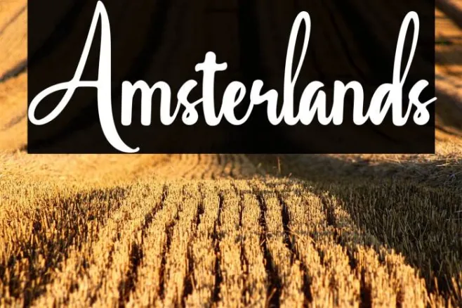 Amsterlands Example 3