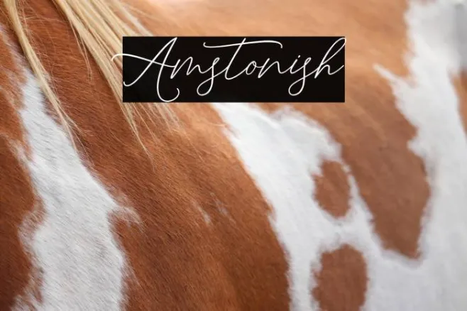 Amstonish Example 1