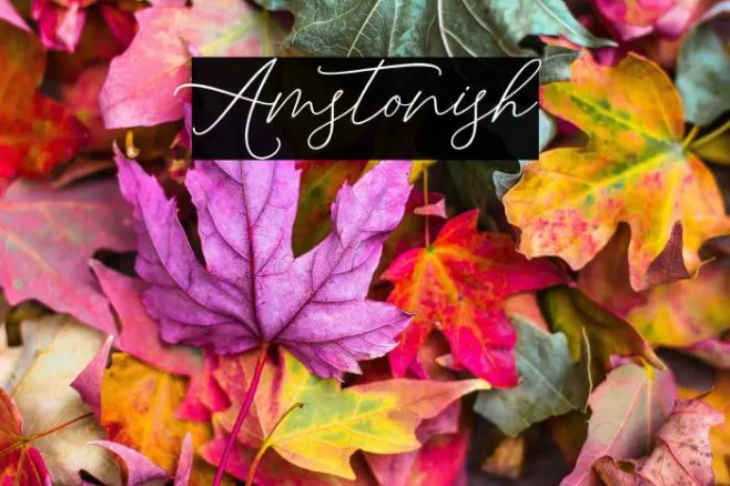Amstonish Example 3