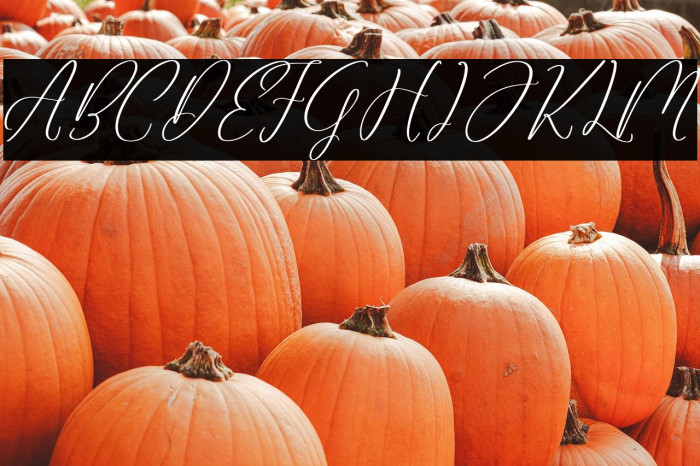 Amtalesh Yolanida Example 1