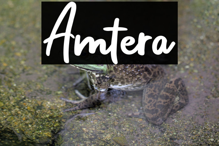 Amtera Example 1
