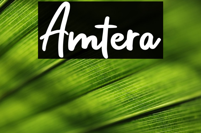 Amtera Example 2