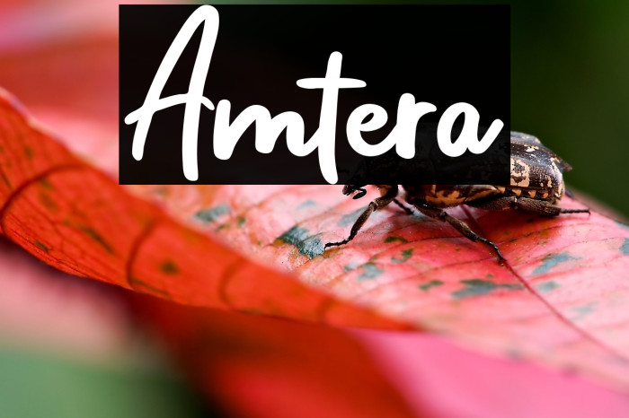 Amtera Example 3