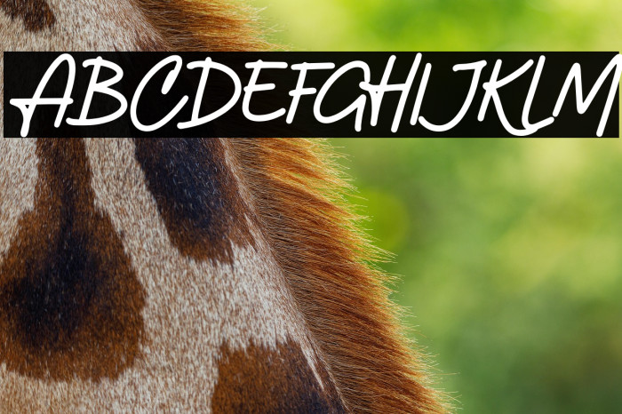 Amterina-Regular Example 1