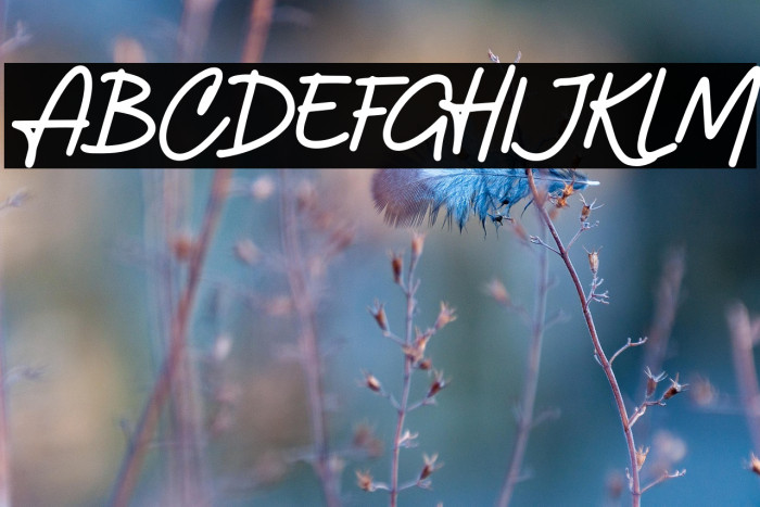 Amterina-Regular Example 3