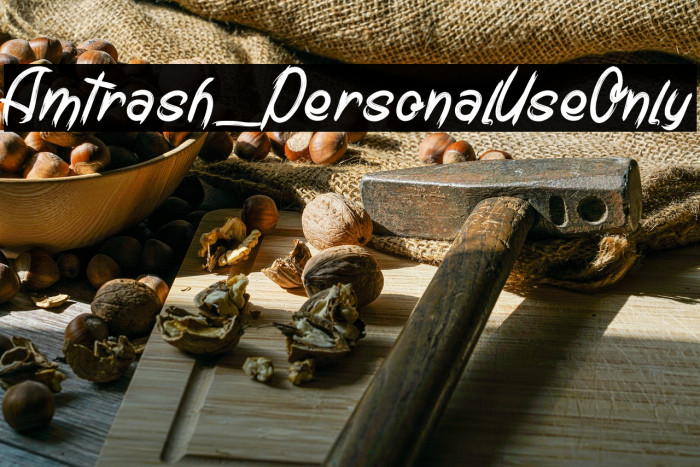 Amtrash_PersonalUseOnly Example 1