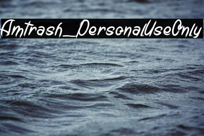 Amtrash_PersonalUseOnly Example 2