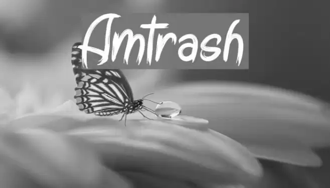 Amtrash Font examples