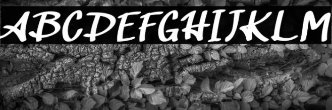 AmubaFREE फ़ॉन्ट examples