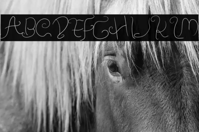 Amulman Light Font examples