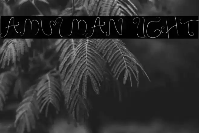 Amulman Light Font examples