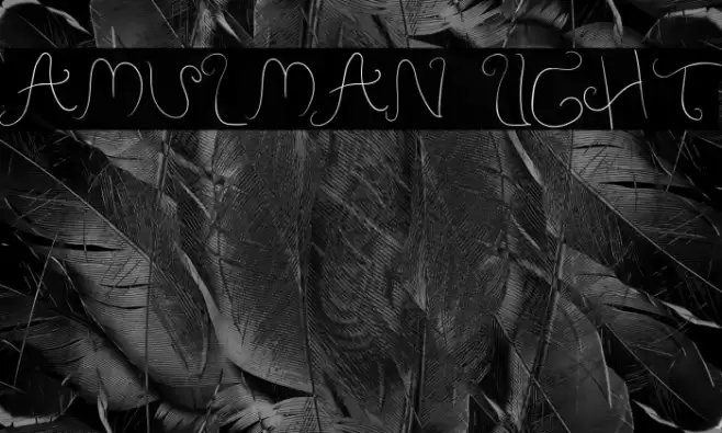 Amulman Light Font examples