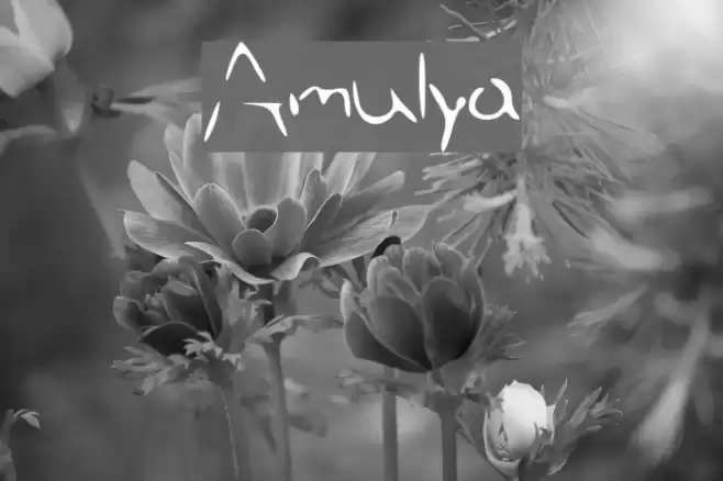 Amulya Font examples
