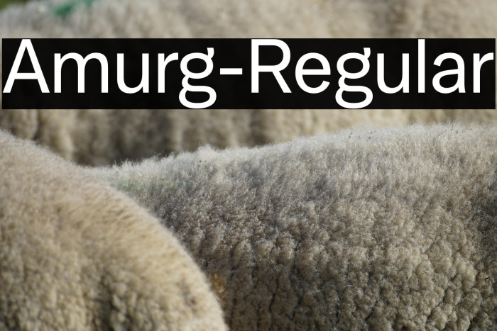 Amurg-Regular Example 1