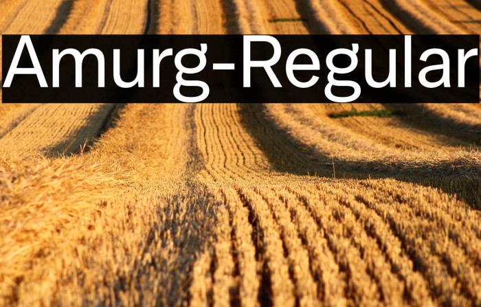 Amurg-Regular Example 3