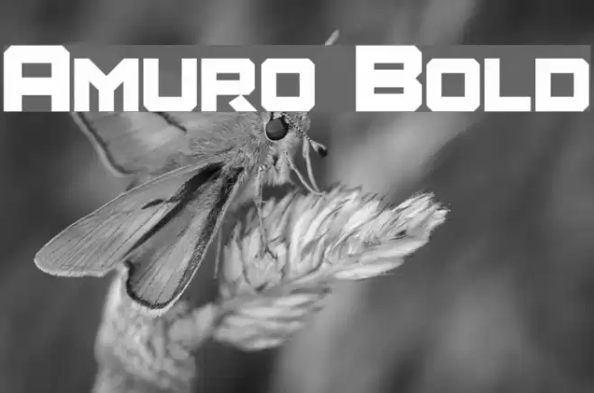 Amuro Bold Font examples