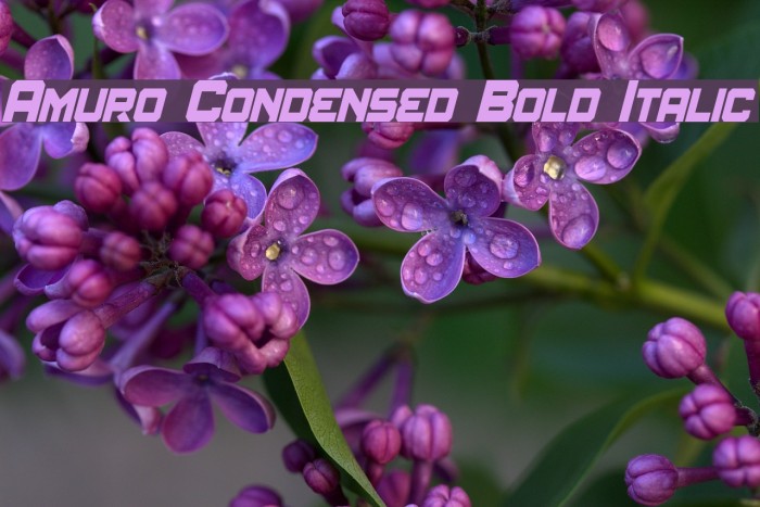 Amuro Condensed Bold Italic Font examples