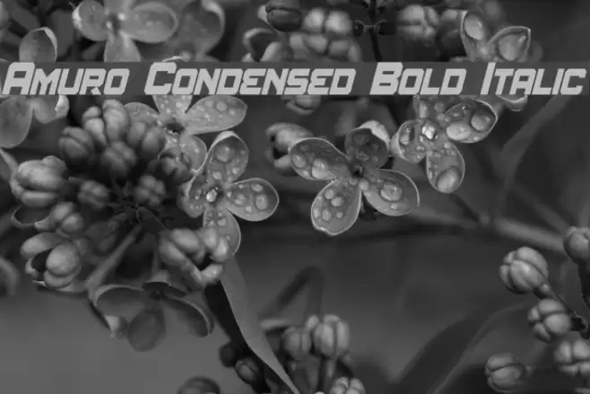 Amuro Condensed Bold Italic examples