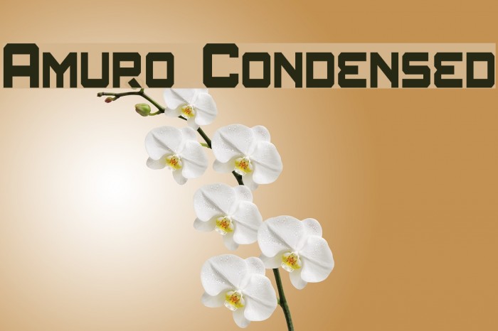 Amuro Condensed Шрифта examples
