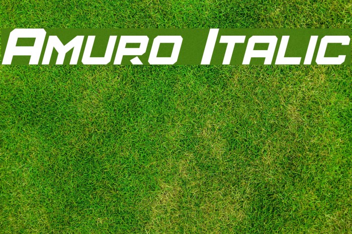 Amuro Italic Font examples