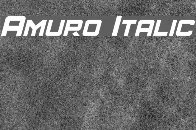 Amuro Italic  examples