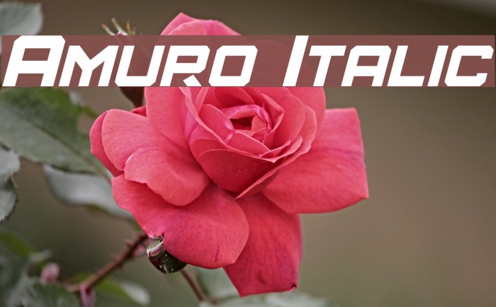 Amuro Italic Font examples