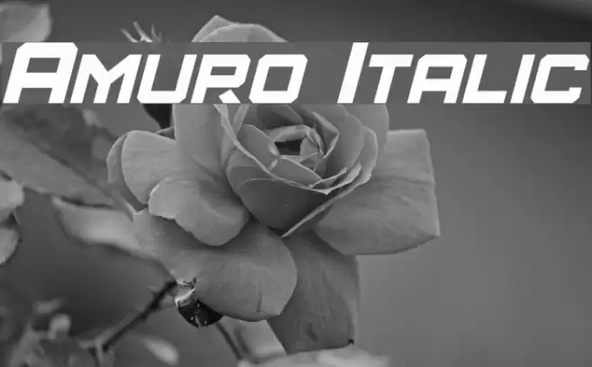 Amuro Italic  examples