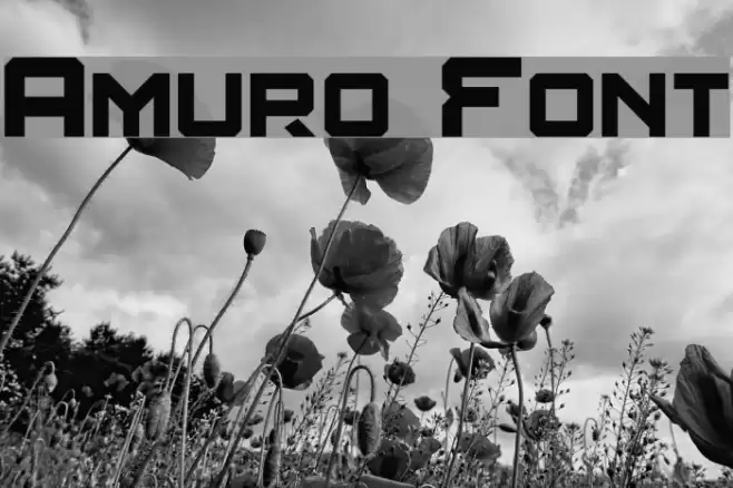 Amuro Font examples