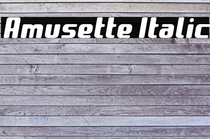Amusette Italic Example 1