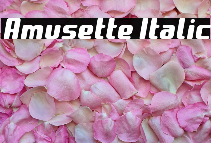 Amusette Italic Example 2