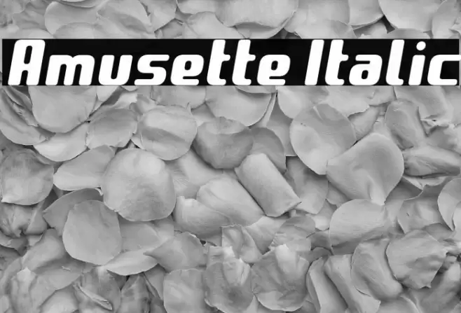 Amusette Italic Font examples