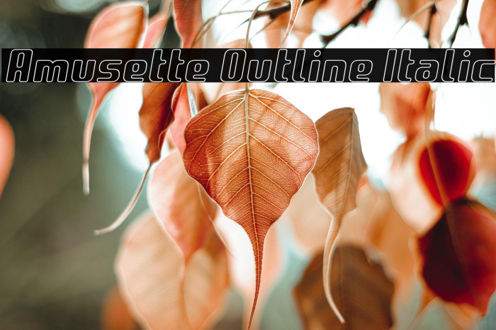 Amusette Outline Italic Example 2