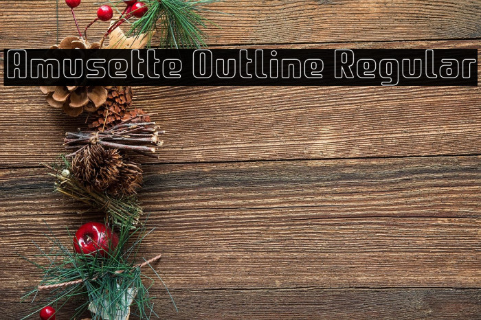 Amusette Outline Regular Example 2