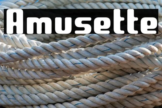 Amusette Example 1