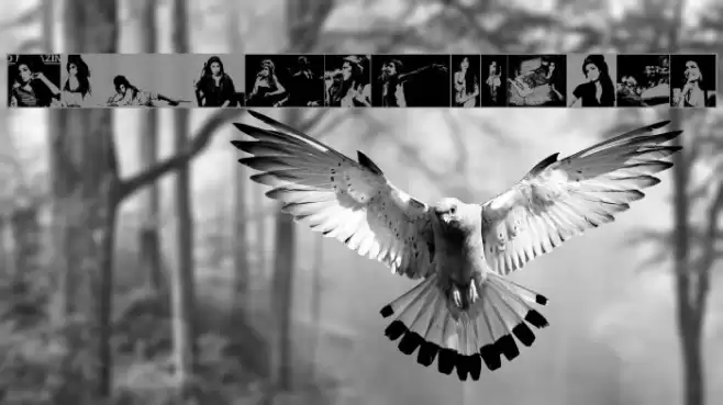 AmyBats 5 Font examples