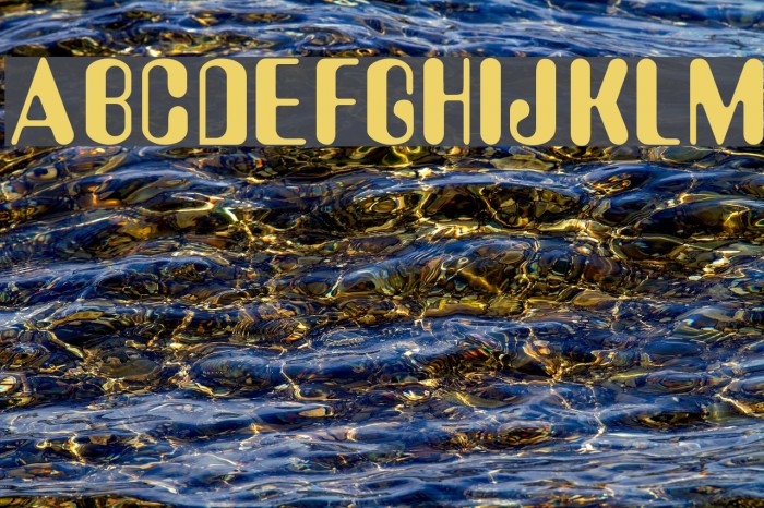 Amy Font examples