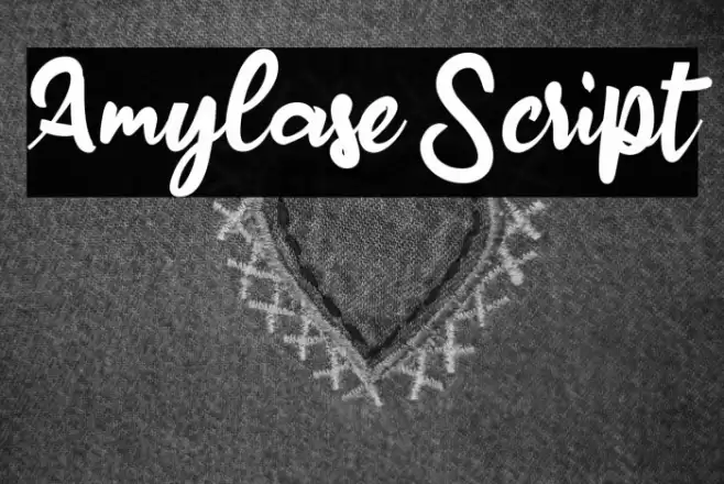 Amylase Script Font examples