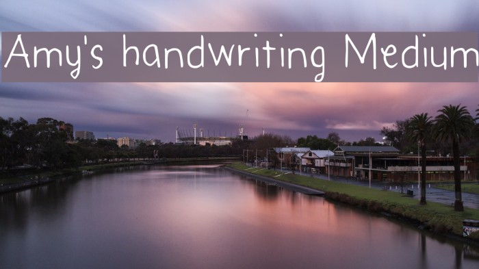 Amy's handwriting Medium Font examples