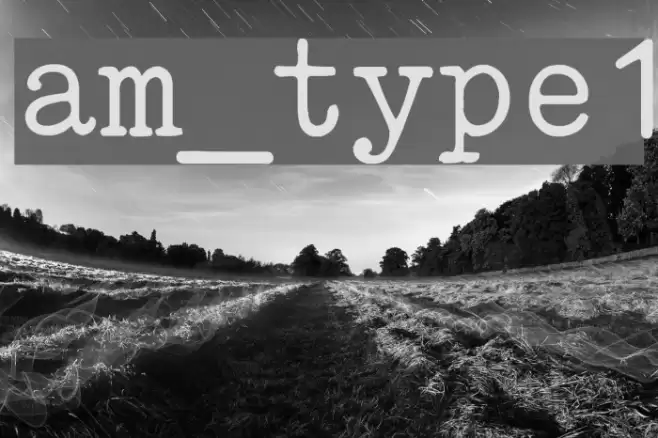 am_type1 Font examples