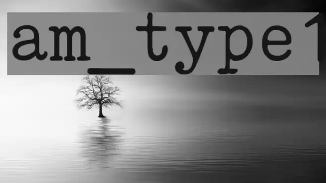 am_type1 Font examples