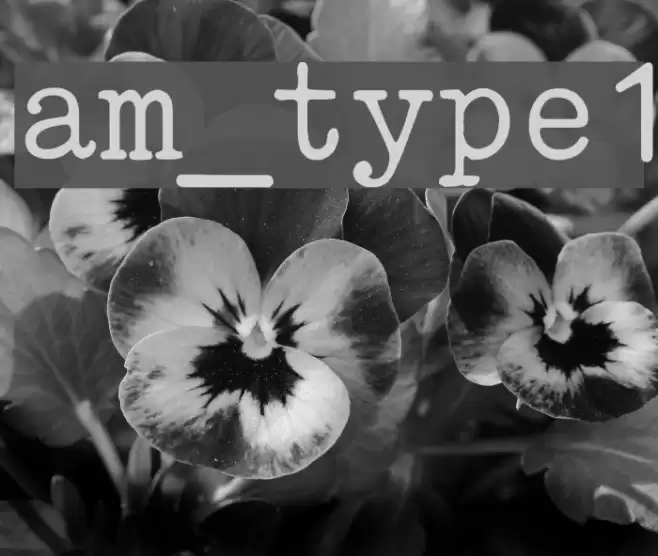 am_type1 Font examples