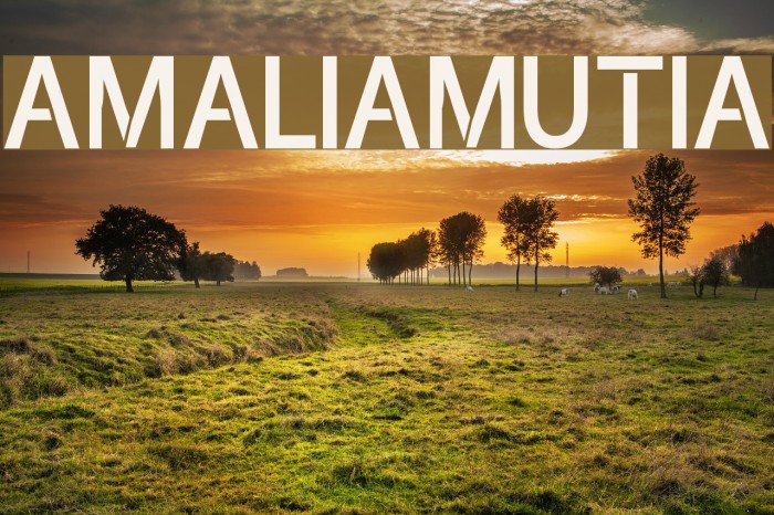 amaliamutia Font examples