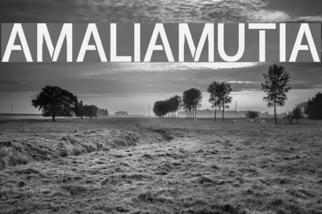 amaliamutia Font examples